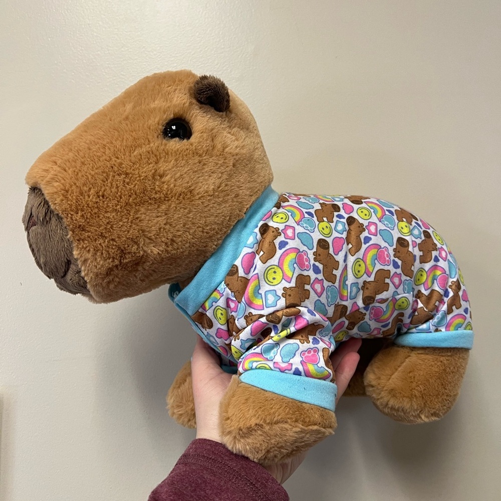 Build-A-Bear Capybara Set 🥰 - Picture 3 of 10